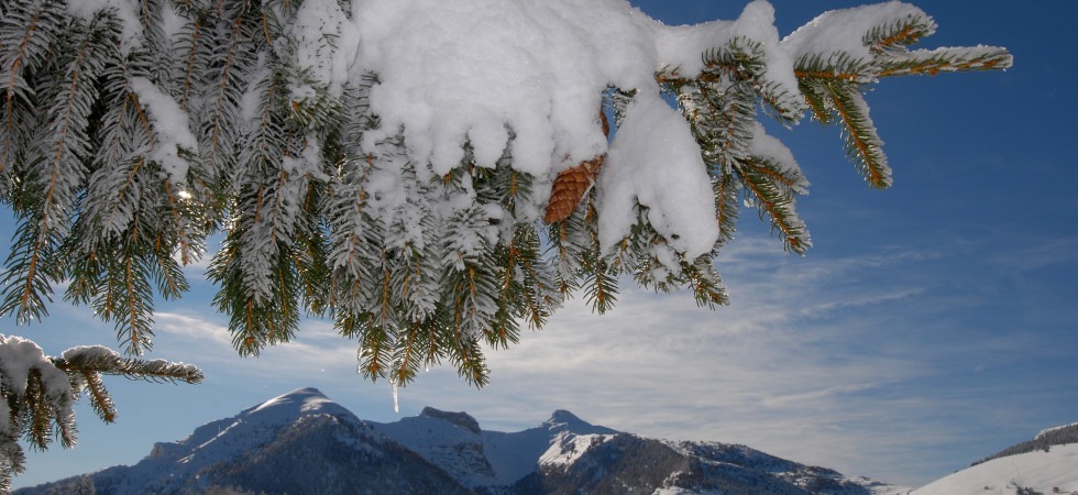 Foto Archivio Apt Trento, Monte Bondone, Valle dei Laghi (G. Cavulli) Un inverno tutto da vivere tra arte, cultura e natura